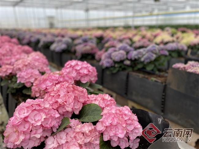 百合貸最新動態(tài)更新??