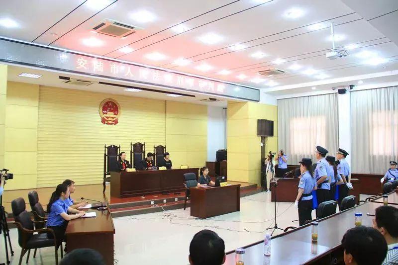 安陸電信詐騙最新動(dòng)態(tài)，深度分析與觀點(diǎn)闡述