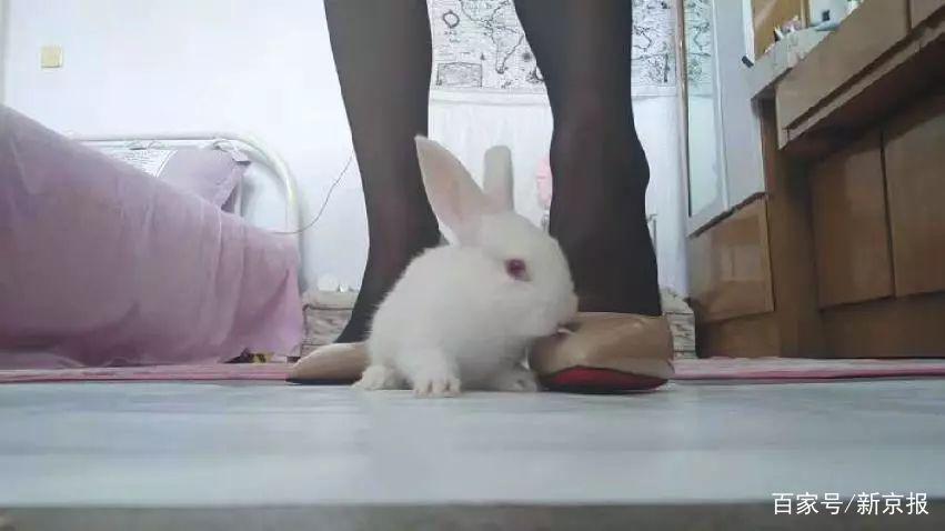 美女踩死事件背后的感人故事揭秘