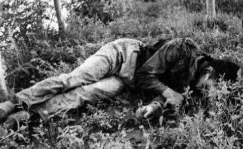 公主嶺最新動(dòng)態(tài)更新