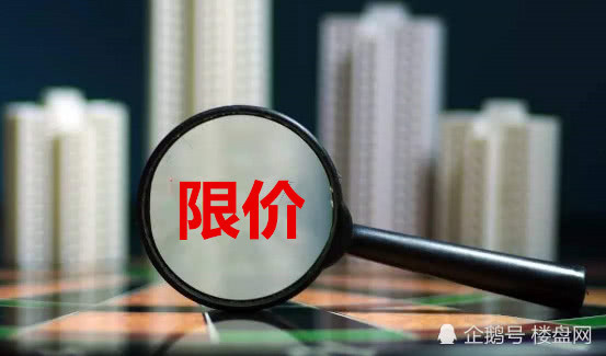 最新房價政策解析與小巷獨特小店探尋記