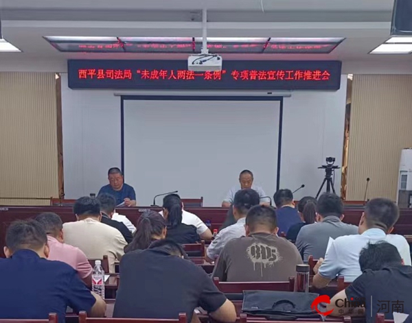 河南西平新聞最新動態(tài)，小巷深處的獨特風(fēng)味
