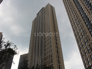 霸州天鵝灣最新動態(tài)，自然美景探索之旅，尋找內(nèi)心的寧靜與喜悅