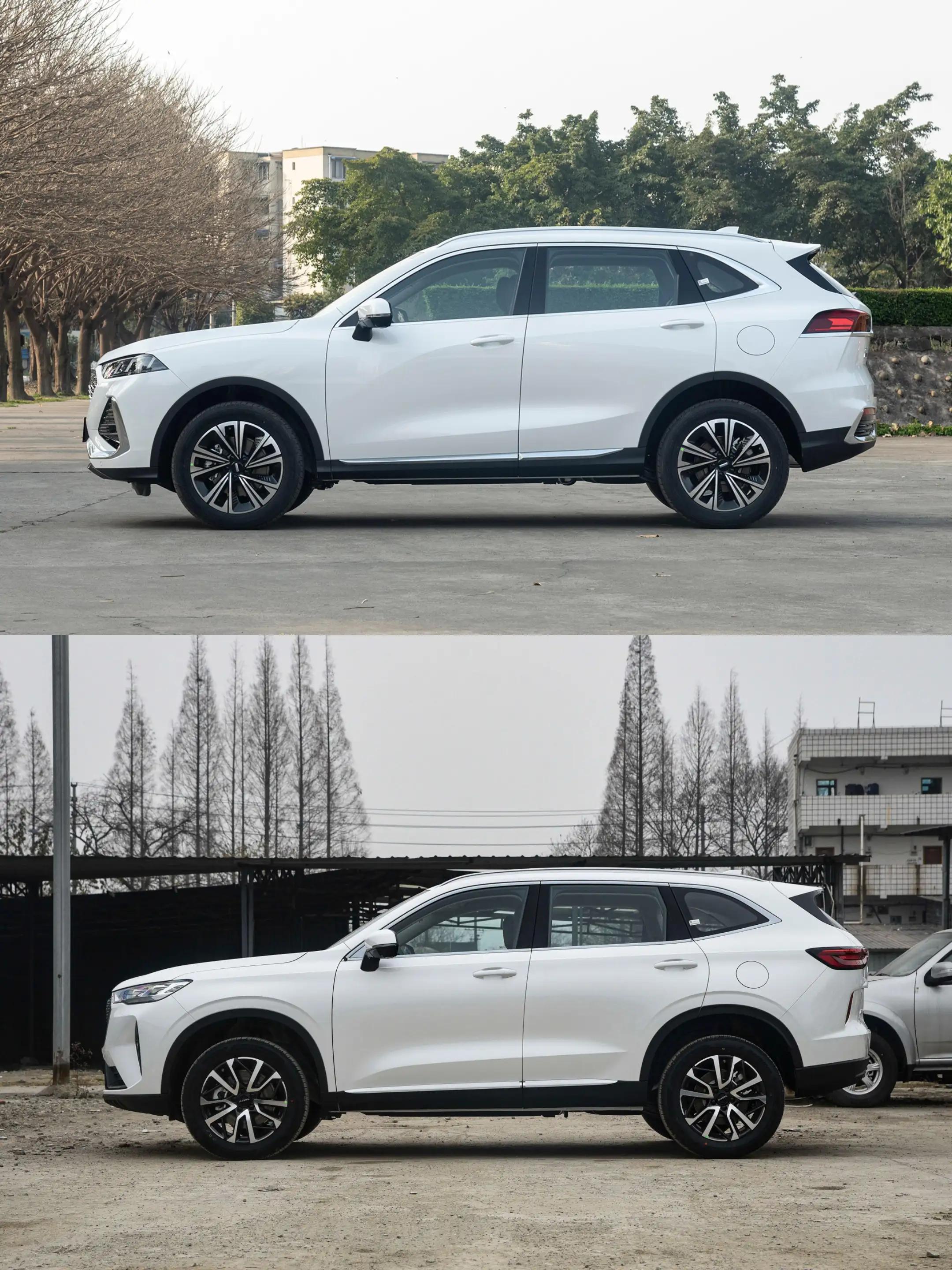 敢問(wèn)路在何方最新動(dòng)態(tài)，探索未來(lái)科技與智能生活的新篇章